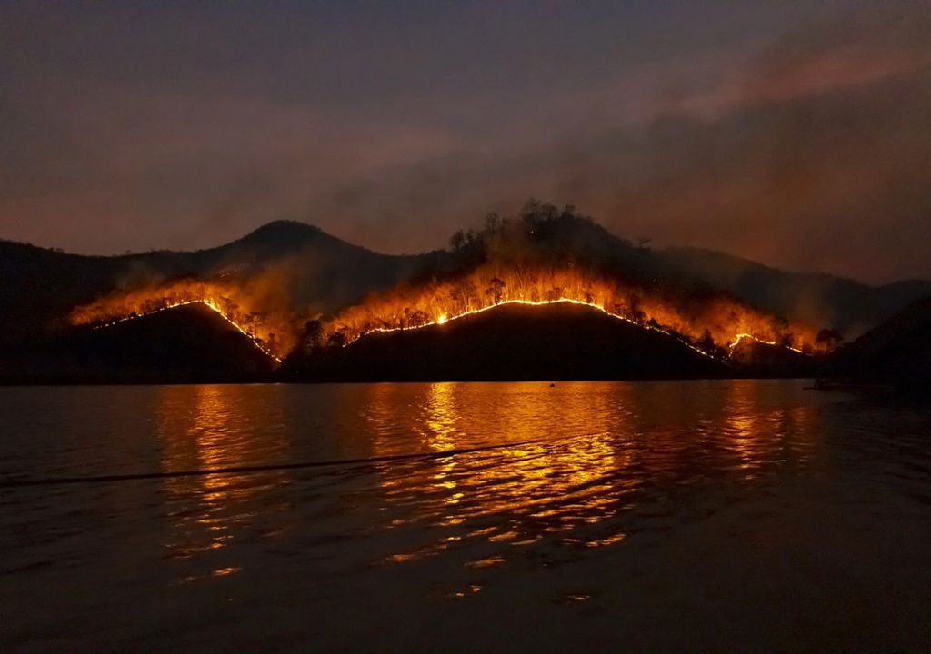 Incendios forestales Incendios forestales
