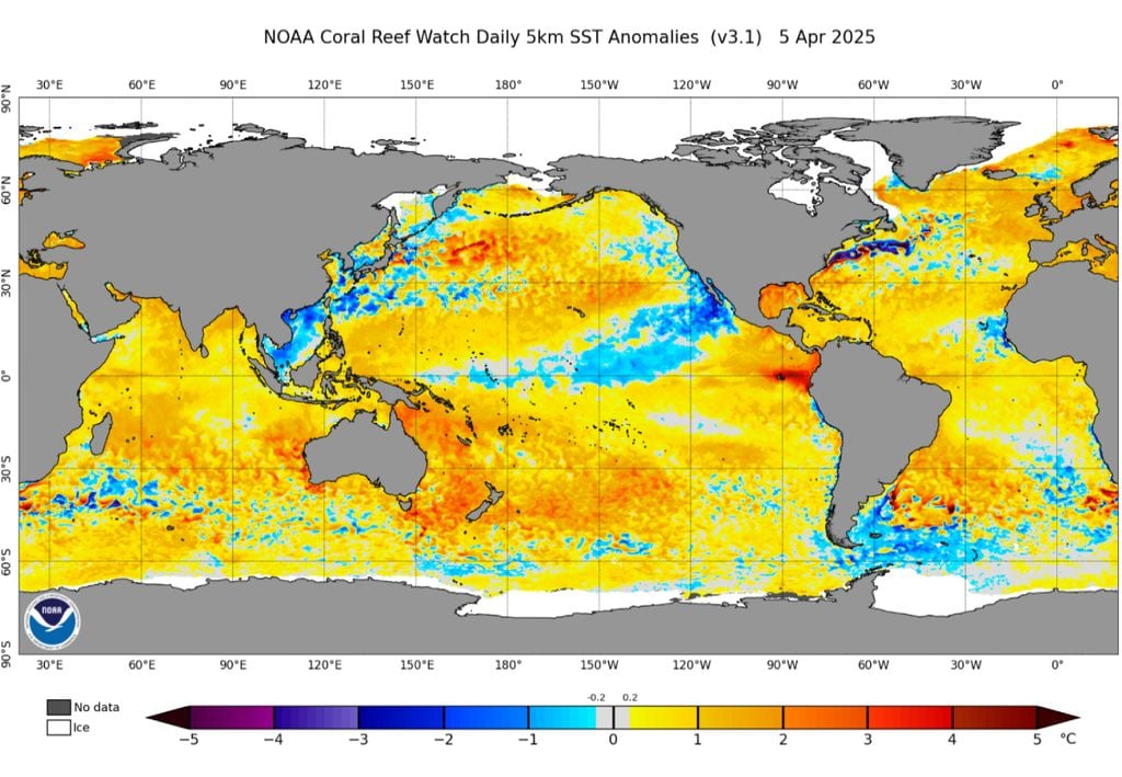 As anomalias globais de temperatura da superfície do mar de 5 de abril de 2025 indicam um aquecimento expressivo do Oceano Pacífico na costa da América do Sul e neutralidade no setor central de monitoramento. Fonte: NOAA. As anomalias globais de temperatura da superfície do mar de 5 de abril de 2025 indicam um aquecimento expressivo do Oceano Pacífico na costa da América do Sul e neutralidade no setor central de monitoramento. Fonte: NOAA.
