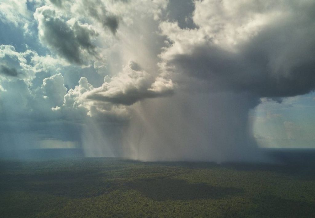 chuva amazonia chuva amazonia