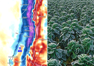 DMC advierte por riesgo de heladas en 3 regiones: un frío más crudo se toma el centro de Chile este fin de semana