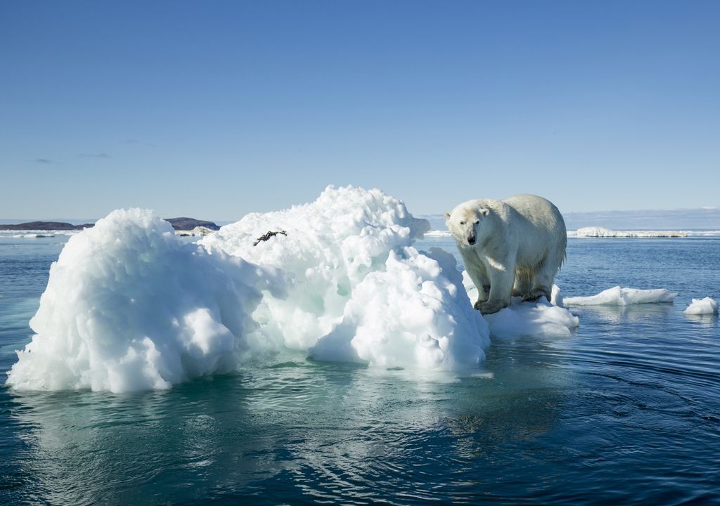 Ártico hielo deshielo cambio climático calentamiento global Ártico hielo deshielo cambio climático calentamiento global