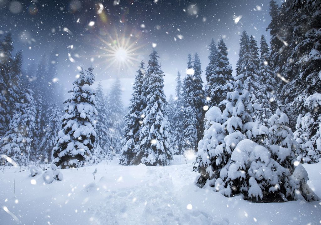 El invierno 2024-2025 se acerca El invierno 2024-2025 se acerca