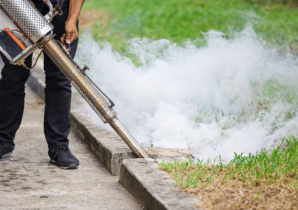 Estudio del CONICET identifica mosquitos del dengue resistentes a los insecticidas en Argentina Estudio del CONICET identifica mosquitos del dengue resistentes a los insecticidas en Argentina