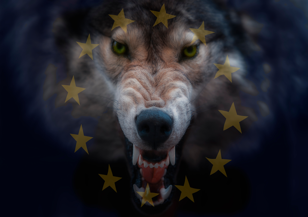 Wölfe, EU-Parlament, Schutzstatus, Kritik, Naturschützern Wölfe, EU-Parlament, Schutzstatus, Kritik, Naturschützern