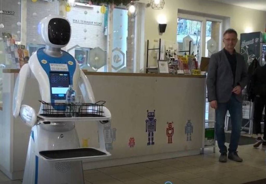 robot camarero robot camarero