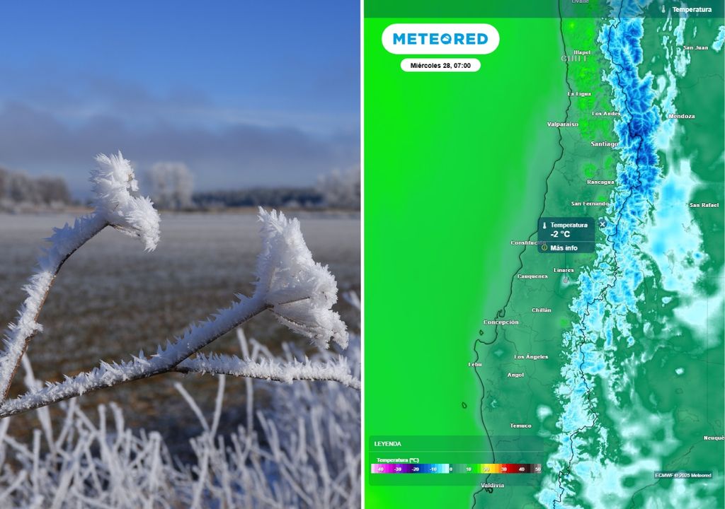 planta con hielo y mapa de temperaturas planta con hielo y mapa de temperaturas