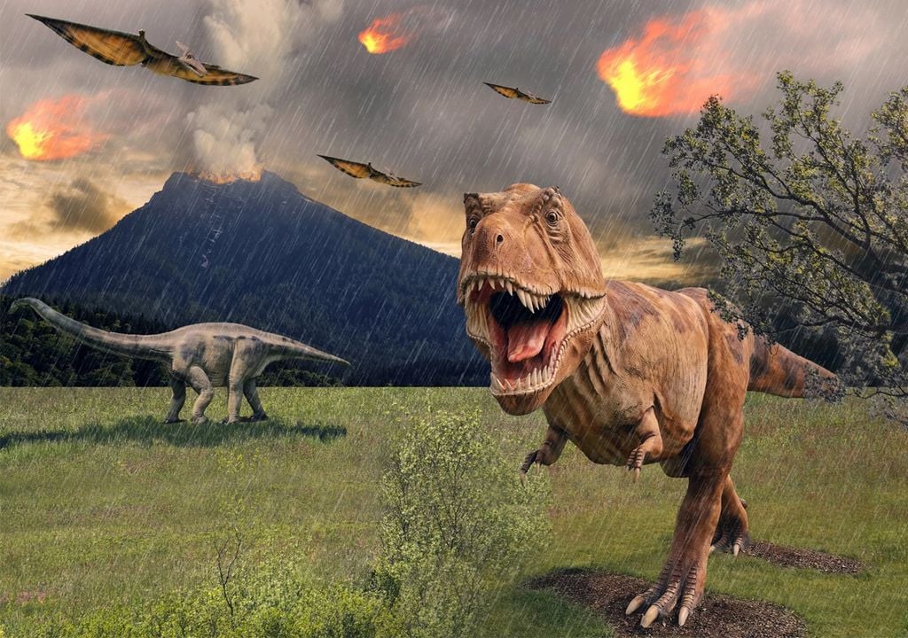 5ta extinción 5ta extinción