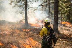 Several New Mexico Wildfires Force Evacuations Amid hot and Dry Weather Conditions