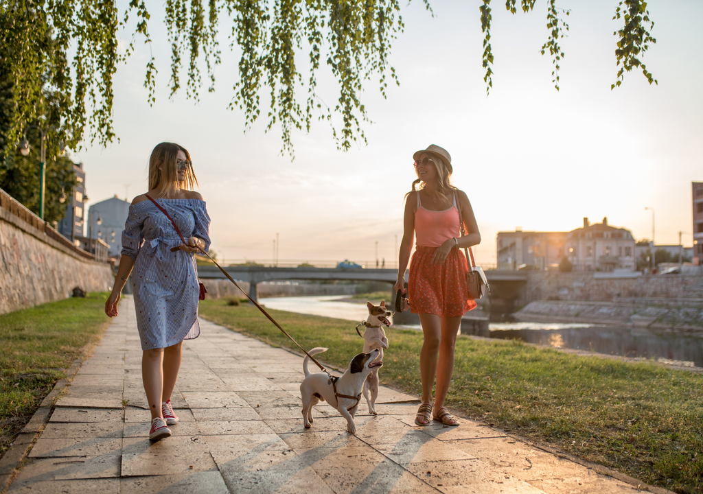 donne e cane donne e cane