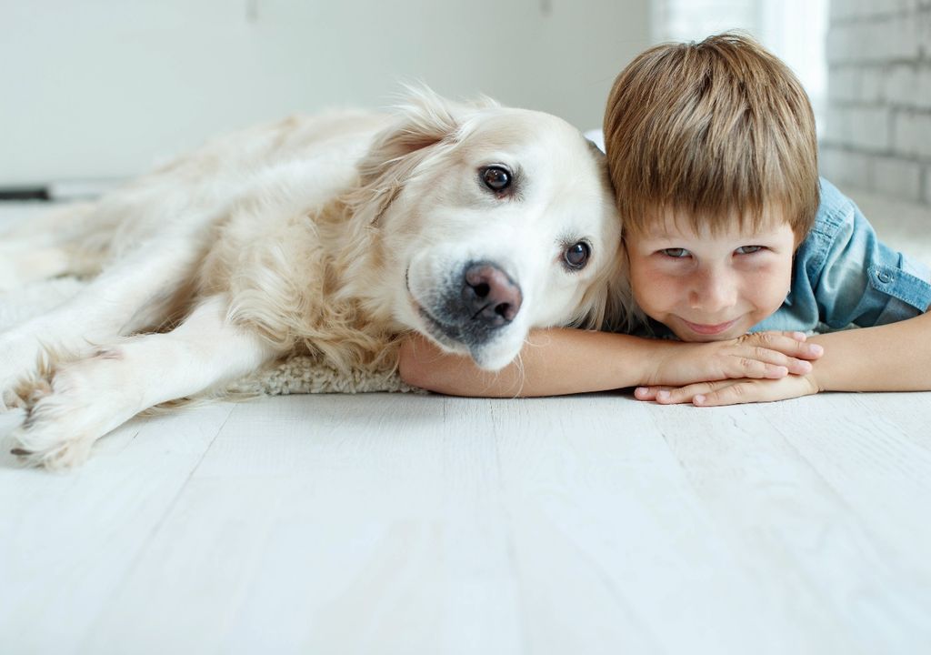 Perros Perros